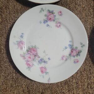 Set Of 6- Vintage Roman Bavaria Floral Plate